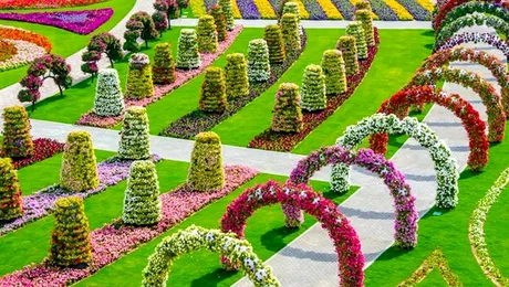 În Dubai a fost deschisă cea mai mare grădină de flori din lume (Poze)
