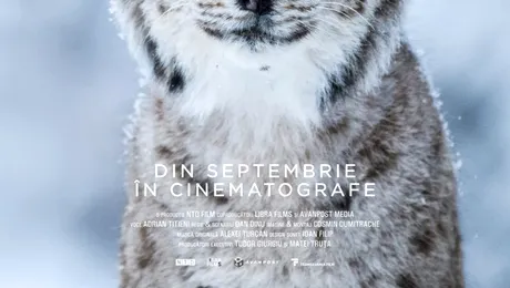 „România Sălbatică”, un vast proiect de film documentar, are premiera națională la TIFF