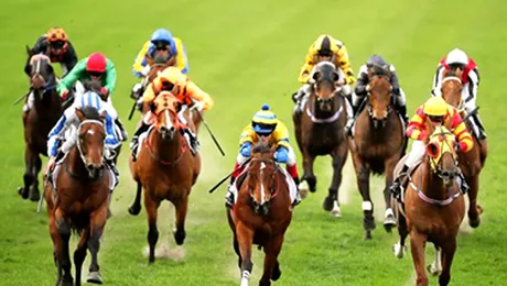 Cel mai norocos parior din lume este scotian!