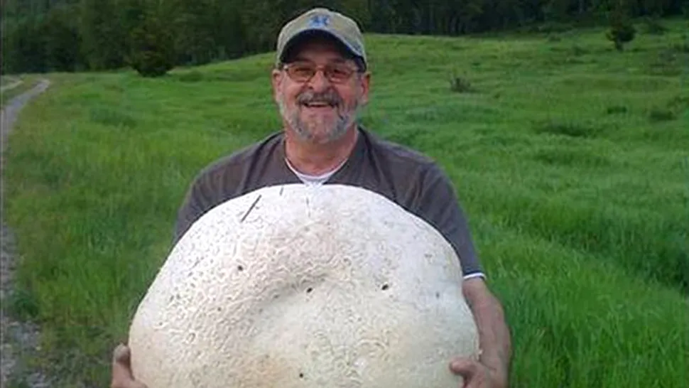 Un canadian a găsit o ciupercă comestibilă de 26 de kilograme