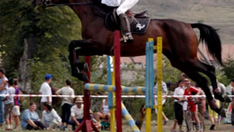 INCREDIBIL! Patru cai au fost exclusi de la JO din cauza dopajului