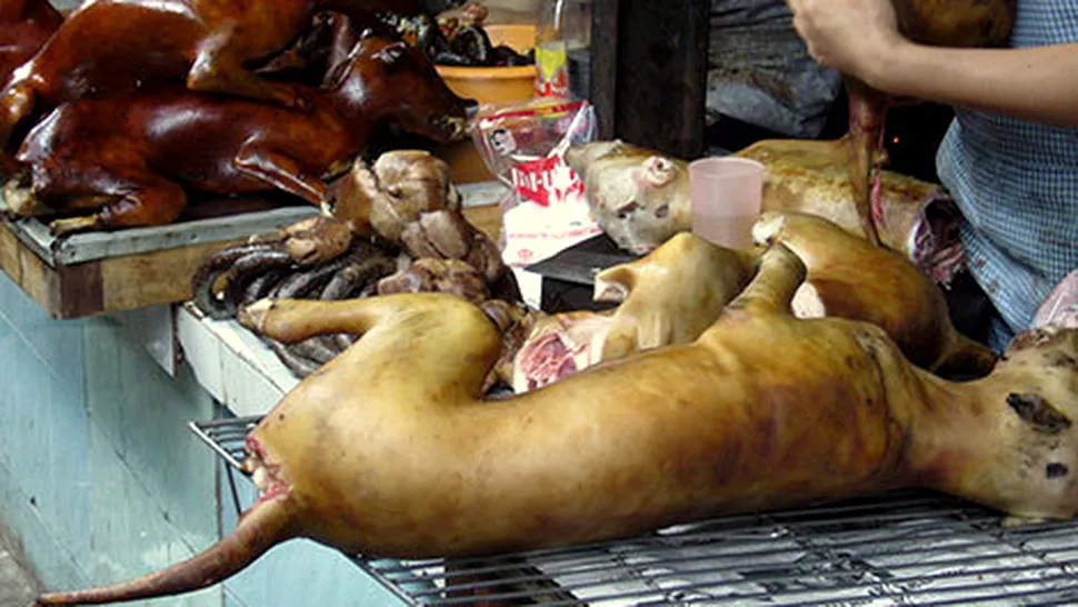 Festivalul de măcelărit și mâncat câini, din China (imagini șocante)