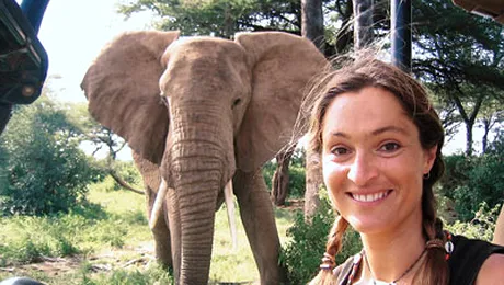 Elefanţii din Samburu