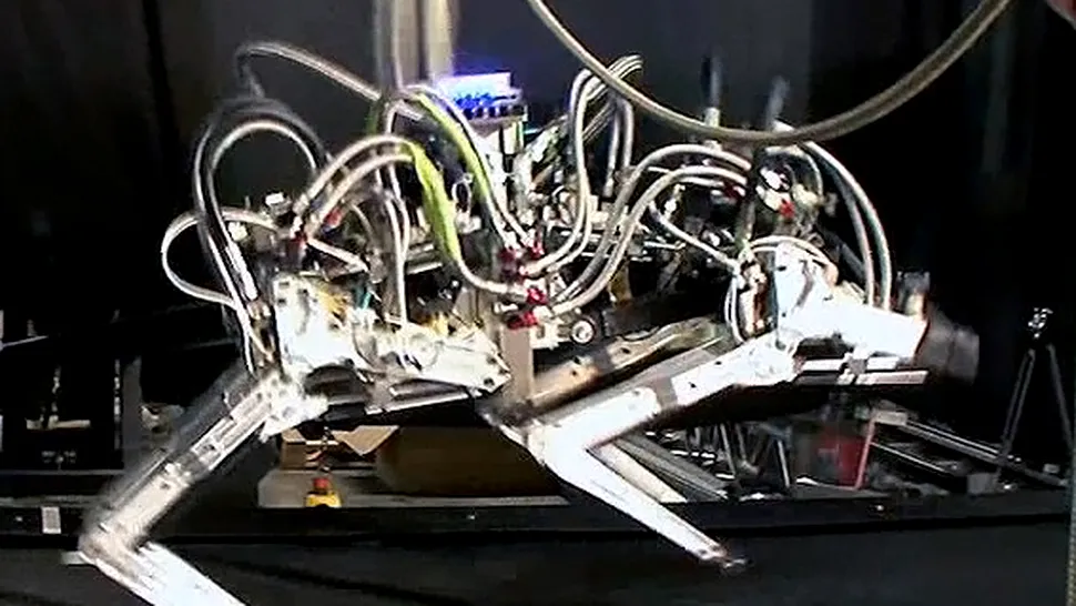 Cheetah, cel mai rapid robot din lume (Video)
