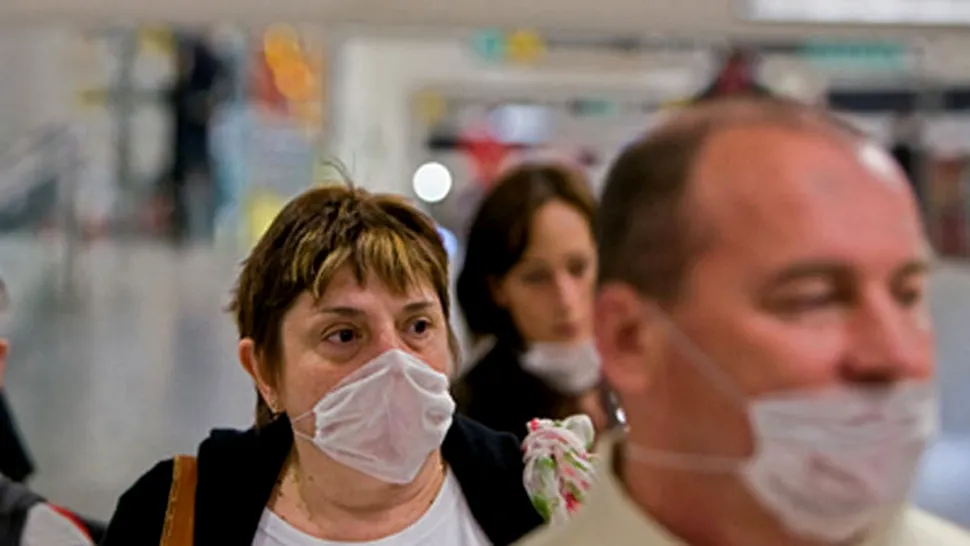 Gripa porcina afecteaza caile respiratorii, de la trahee pana la alveolele pulmonare