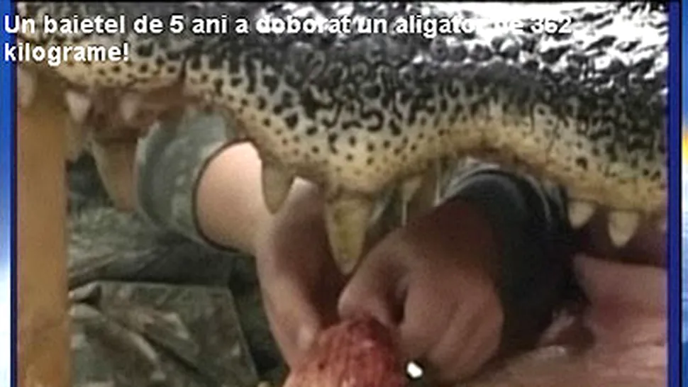 Un copil de 5 ani a ucis un aligator de 4 m si 300 kg!