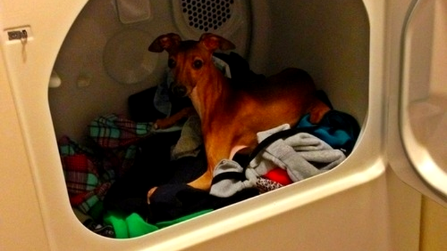 hainele când sunt calde încă