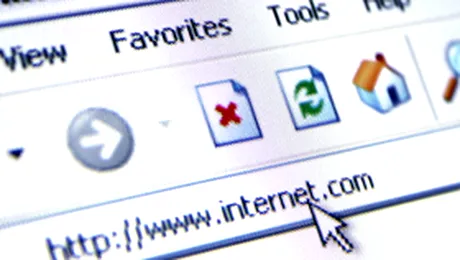 Vanzarile cu plata online prin card au crescut in 2007