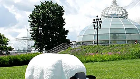 Oaia cu leduri, o solutie pentru gazonul lui Becali (VIDEO)