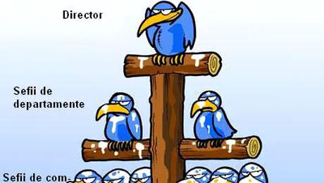 Legea salarizarii progreseaza: avem un termen si un responsabil