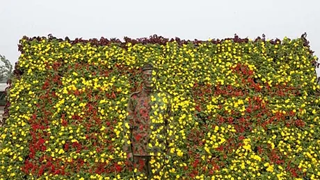 Liu Bolin – omul invizibil. Tu poti sa-l distingi? (Poze)