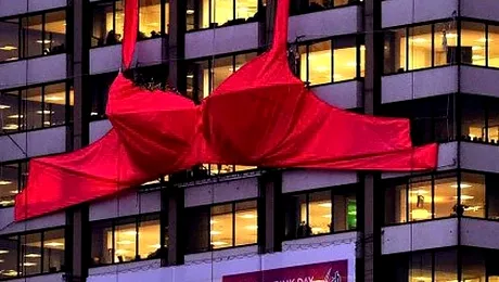 Cel mai mare sutien din lume, scos la licitație pe eBay