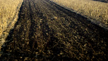 Terenurile agricole din Romania, mai ieftine decat in Europa
