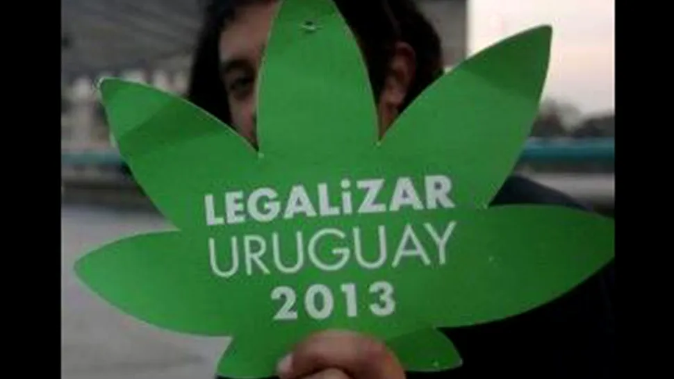 Uruguay ar putea deveni prima țară care legalizează marijuana