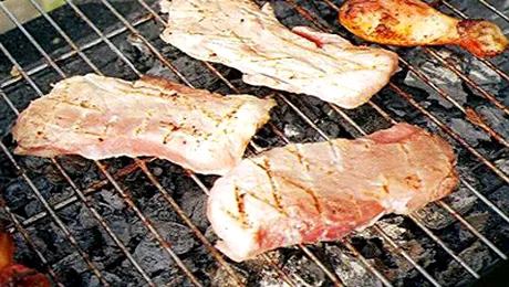 Adio gratarelor intre blocuri si pe marginea drumului!