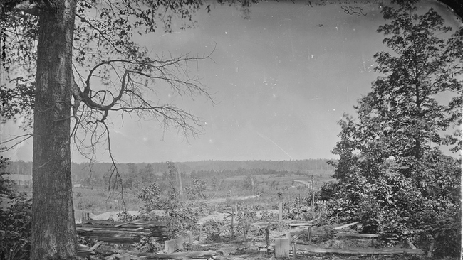 Peach Tree Creek, Georgia