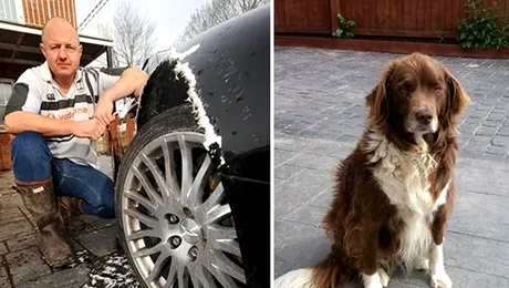 A renunțat la câine după ce i-a „mâncat” mașina de 100.000 de euro