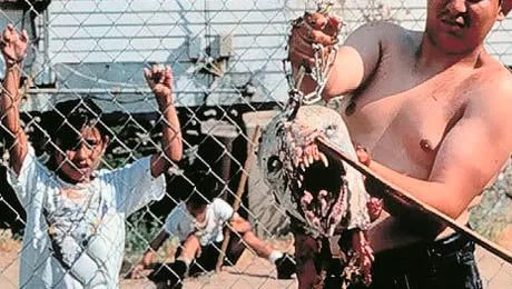 Un bărbat din Tecuci pretinde că a inventat o nouă specie de chupacabra