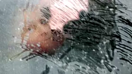 A murit de frig incercand sa faca economie