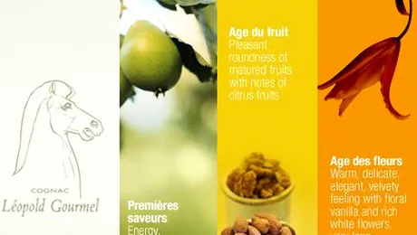 Coniacul organic, pentru cei care se imbata „sanatos”