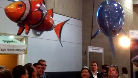 Pana si pestii zboara (Video)