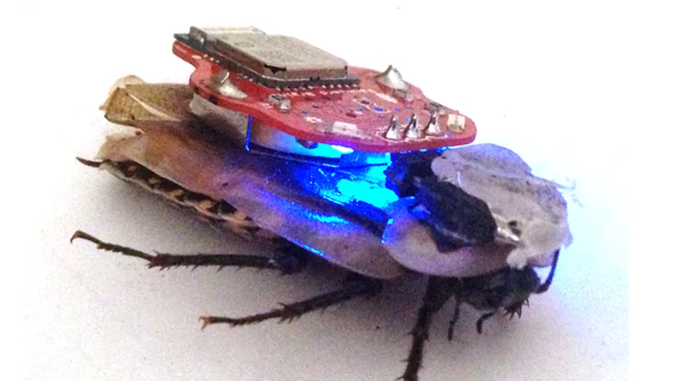 Proiect educațional: construiește-ți propriul gândac telecomandat