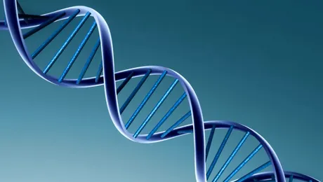 10 organisme modificate genetic, la dispoziția tuturor