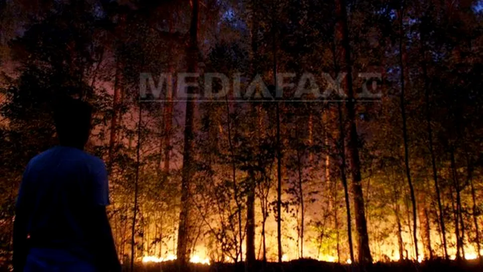 Americanii contribuie la stingerea incendiilor din Rusia