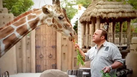 Omu’ de la Zoo (trailer)