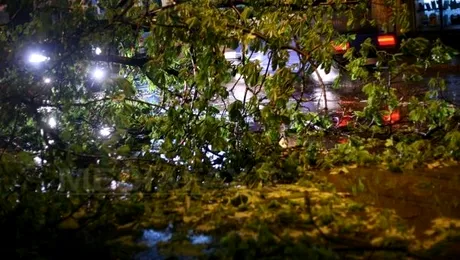 Copaci cazuti si masini avariate in urma furtunii din Capitala