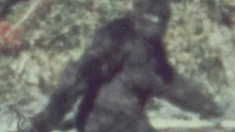 Reincepe vanatoarea lui Yeti, Omul Zapezilor