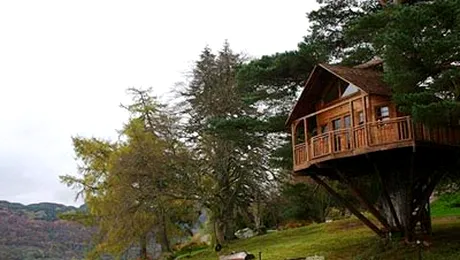 Case in copaci, constructii fascinante(Poze)