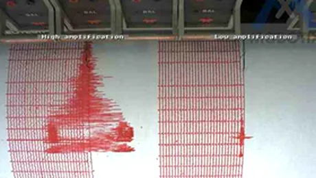 Ati simtit cutremurul? Asteptam replica. (Video)