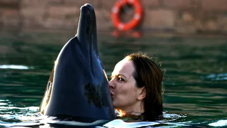 Delia Antal s-a pupat cu delfinii în Dubai