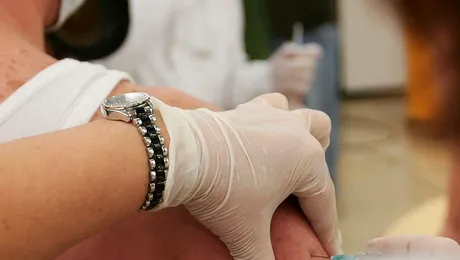 Gripa porcina de la noi a inceput sa dea inapoi!