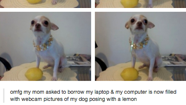 mama și calculatorul