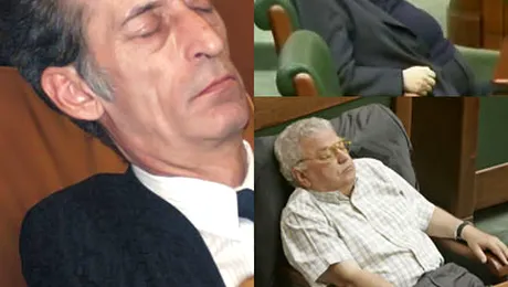 Tara arde si senatorii se piaptana… cu „vant in freza”!