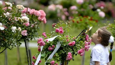 Vremea.Apropo.ro: Cum va fi vremea până pe 9 iunie 2013