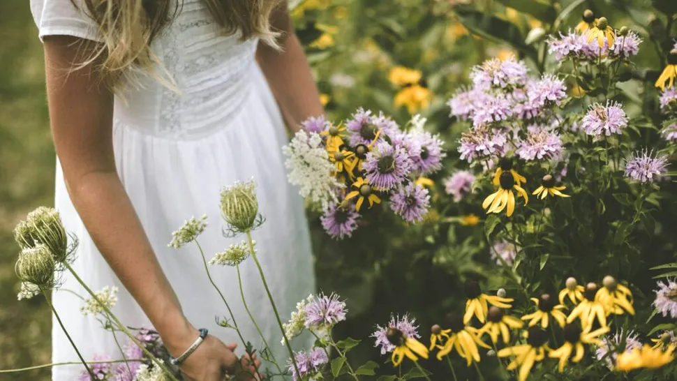 (P) Rochii de vară și ținute de sezon care inspiră stil și confort