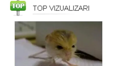 Cele mai accesate clipuri de pe net: topul saptamanii pe Tare.ro!(Video)