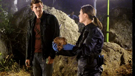 David Boreanaz – De la băutor de sînge la cititor de oase