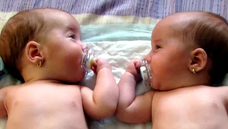 Invata limbajul gemenilor! (Video)