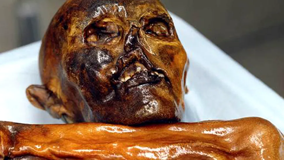 Au fost descoperite 19 rude în viață ale mumiei Iceman