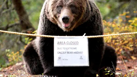 Pe aici nu se trece!