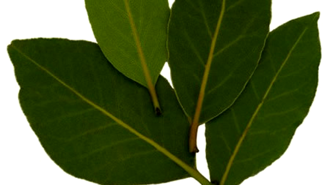 ziua indragostitilor