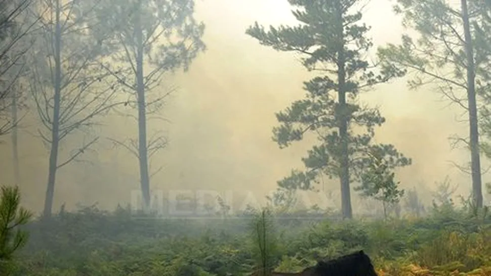 Sardinia: 500 de persoane evacuate din cauza incendiilor de vegetație