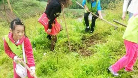 Motivul uimitor pentru care o femeie a închiriat un munte întreg