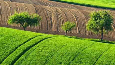 Vremea.Apropotv.ro: Prognoza meteo pentru marți, 9 septembrie 2014