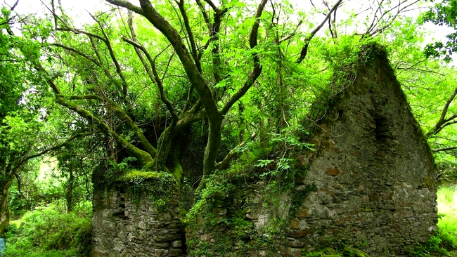 Drumul Kerry Way dintre Sneem și Kenmare, din Irlanda