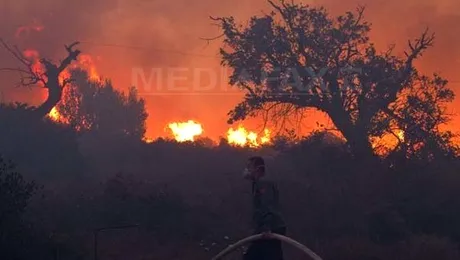 Tenerife: 1.800 de persoane evacuate din calea incendiilor de pădure